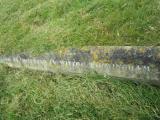 image of grave number 557443